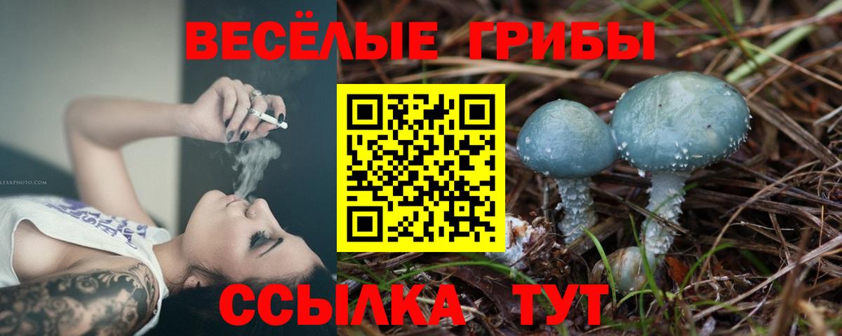 Сергиев Посад  Псилоцибиновые грибы Psilocybine cubensis  цены наркотик  Вход с VPN 